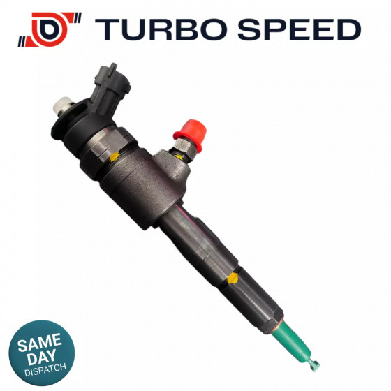 0445110135 - Reconditioned Injector - Citroen C2 206 Peugeot 307 1,4